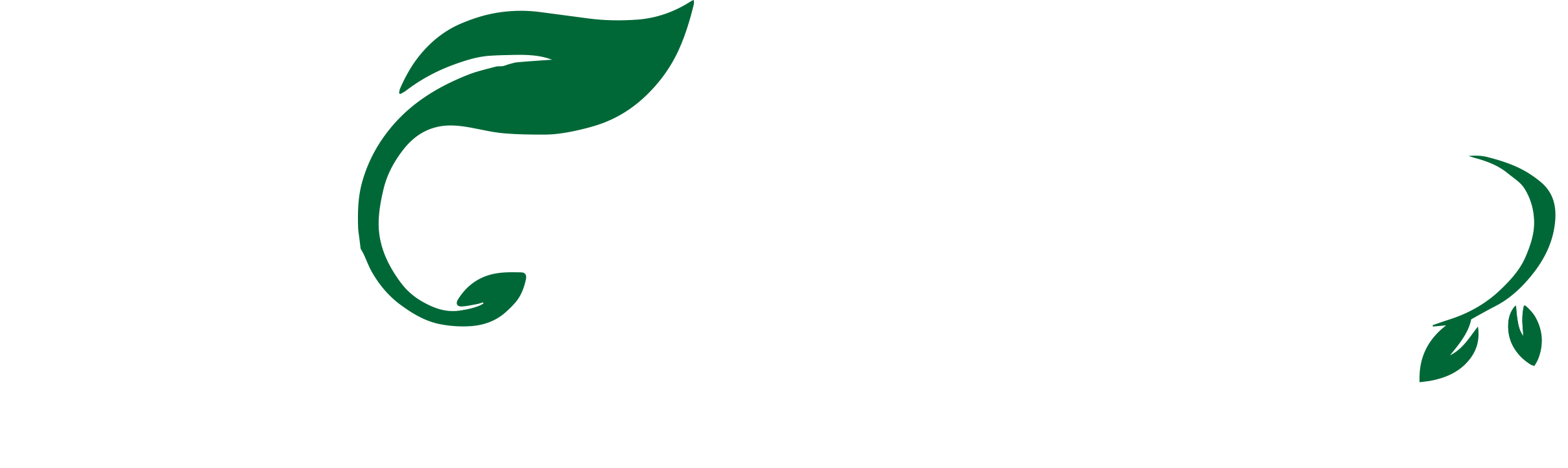 Botara Logo